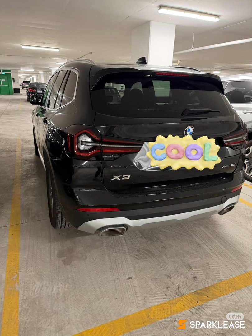 2024 BMW X3 xDrive30i Sports Activity Vehicle, 多伦多, 转LEASE