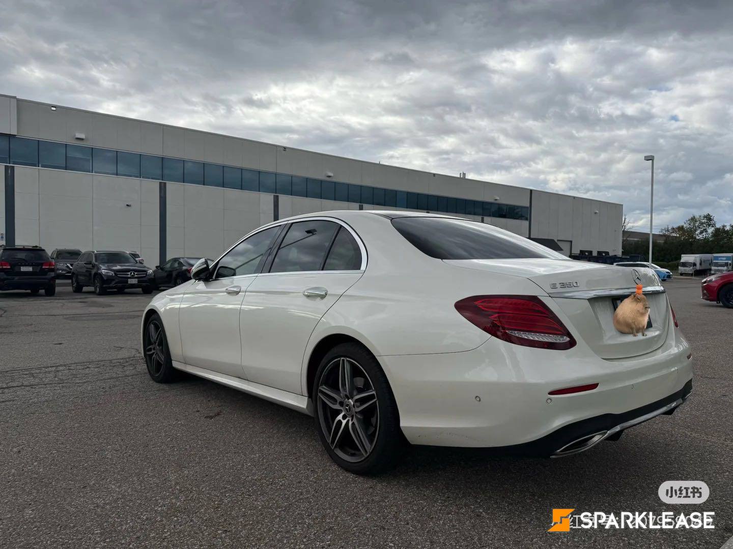2020 Mercedes-Benz E-Class E 350 4MATIC Sedan, 多伦多, 全款车