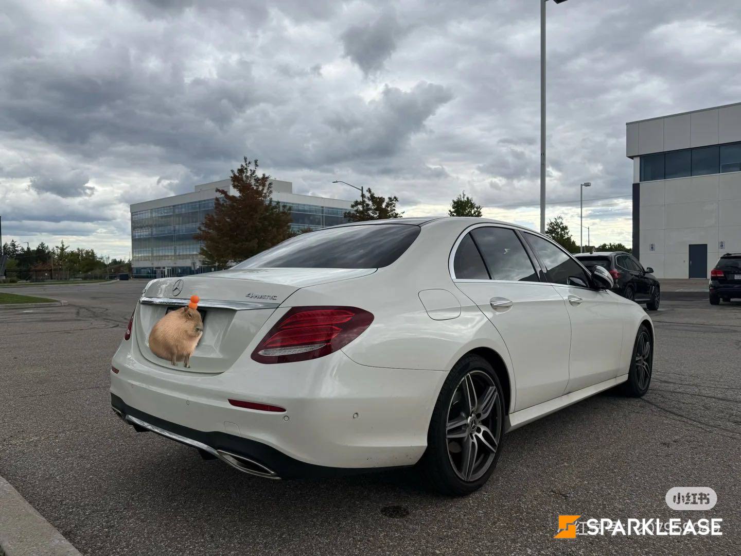 2020 Mercedes-Benz E-Class E 350 4MATIC Sedan, 多伦多, 全款车