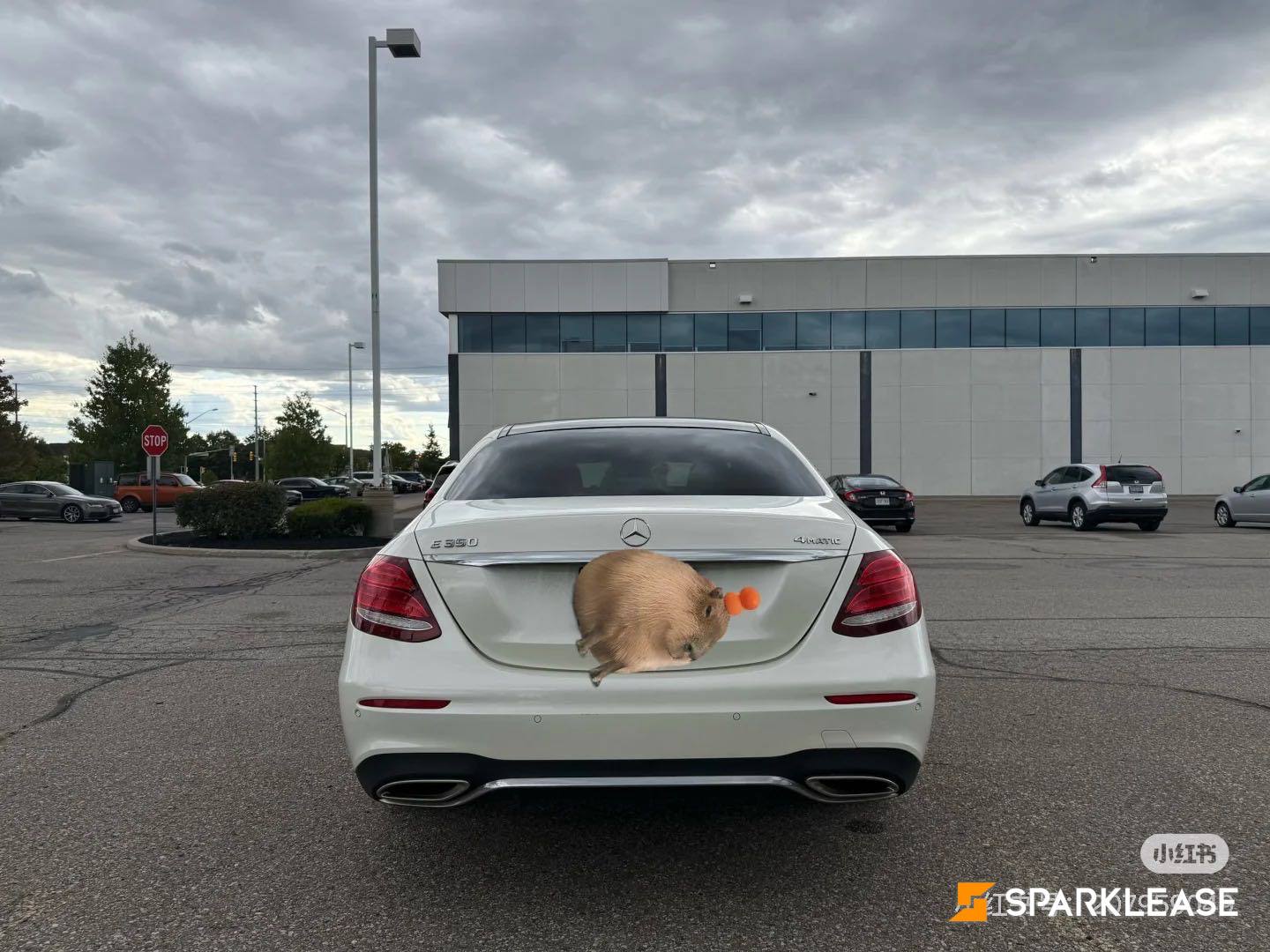 2020 Mercedes-Benz E-Class E 350 4MATIC Sedan, 多伦多, 全款车