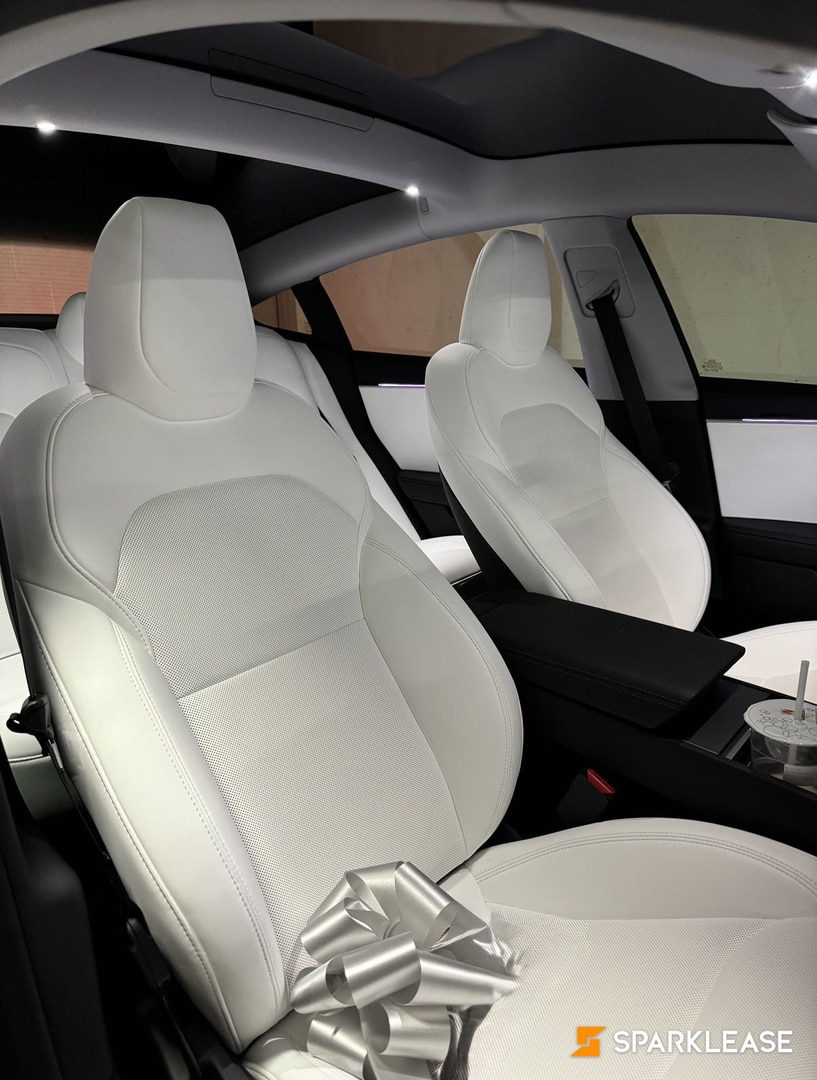 2025 Tesla Model 3 Long Range AWD, 多伦多, 转LEASE