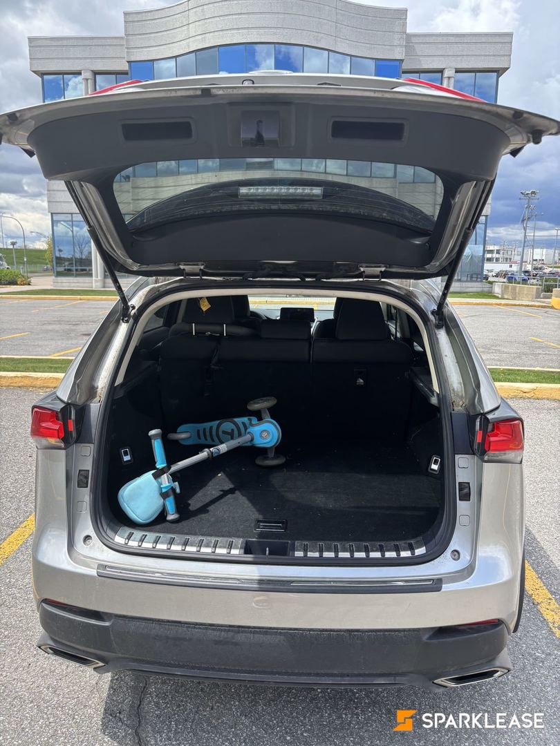 2020 雷克萨斯 NX系列 NX 300 全轮驱动, Toronto, Cash