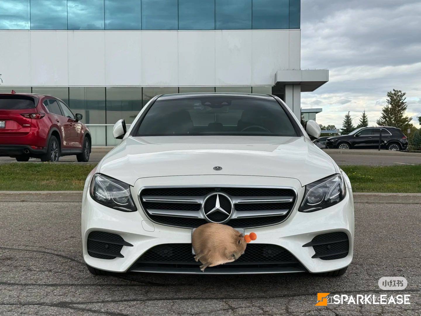 2020 Mercedes-Benz E-Class E 350 4MATIC Sedan, 多伦多, 全款车